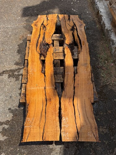 Coppia tavole legno ulivo - coppia,