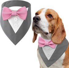 Papillon Cane, Animali Domestici Smoking Papillon per Cani, Formale Vestito Cane