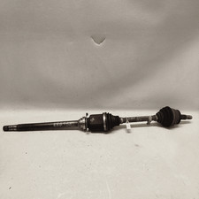 52148207 Semialbero ant