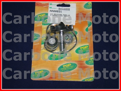 Kit revisione pompa - revisione,