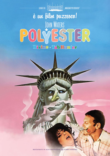 Film polyester dvd - polyester,