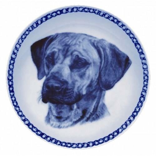 Rhodesian ridgeback dog - -,