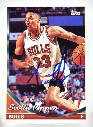 Scottie pippen on - scottie, on-card