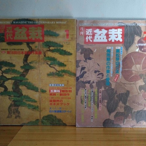 Modern bonsai magazine - bonsai,