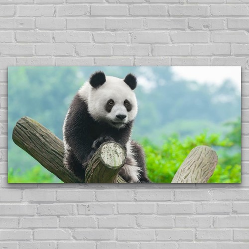 Glas bild wandbilder druck auf - glas-bild,