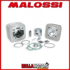 318237 CILINDRO MALOSSI 172CC