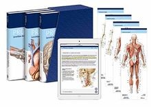PROMETHEUS LernPaket Anatomie: LernAtlas Anatomie von no... | Buch | Zustand gut