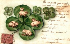 MAIALINI, PORCELETS, PIGLETS - Quadrifoglio, Cloverleaf - VG - #046 - Vedi Retro