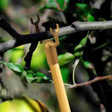 Specifiche supporto ramo