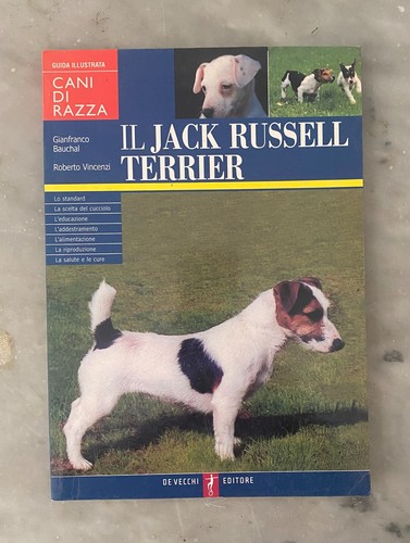 Jack russell terrier - russell, di