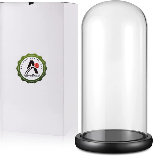 Cupola espositore vetro13 - vetro13", x