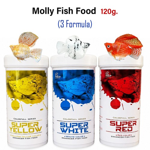 Formula cz molly - -,