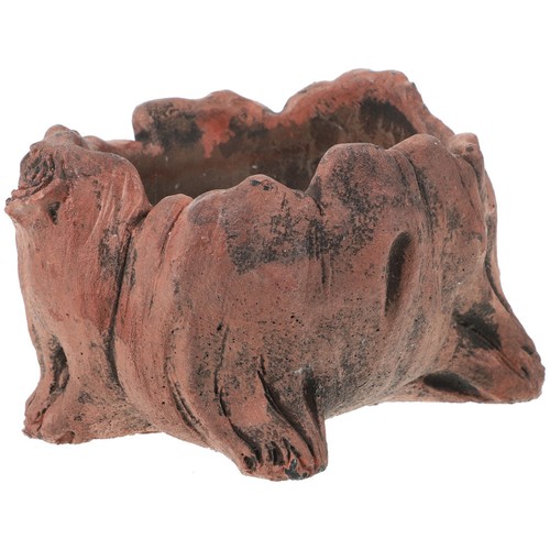 Vaso per piante grasse con - ,