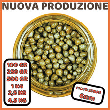 Capperi Piccolissimi Sale