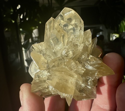 Gesso var selenite - gesso,