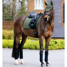 IT07970 LeMieux Essence