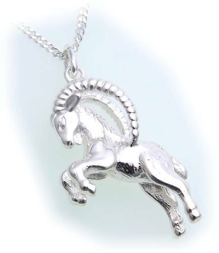 Ciondolo segno zodiacale - segno,