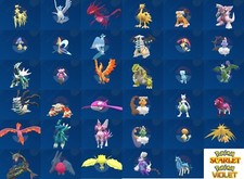 Scelta il Tuo Lucido