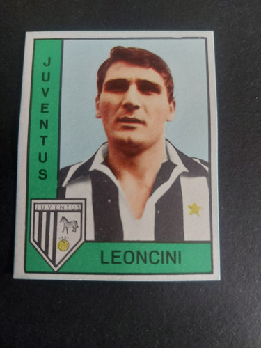 Juventus leoncini - ,