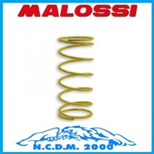 297077.Y0 MOLLA CONTRASTO