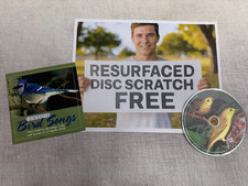 Backyard bird songs - bird,