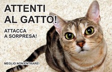ATTENTI AL CANE - Attenti al