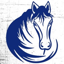 L221 Set 1 Adesivo Horsebox