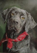 Labrador nero opera d'arte