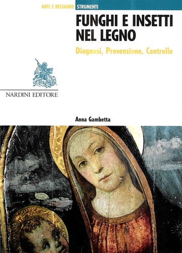 Funghi insetti nel legno - funghi, e