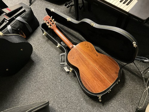 Giannini awn chitarra - awn, 85