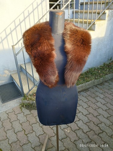 Collo volpe mai - collo, volpe.