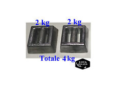 2 Piombi zavorra sub da 2 kg  - Totale 4kg