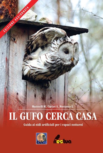 Gufo cerca casa guida nidi - cerca,