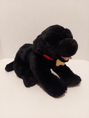 Peluche costruisci orso - costruisci, un