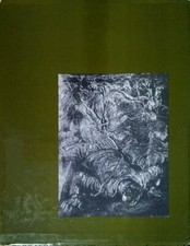 L'OPERA XILOGRAFICA DI MARIO DELITALA FRA IDENTITA' E TRADIZIONE