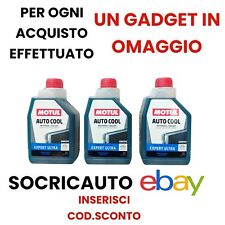 3 Litri Antigelo Concentrato