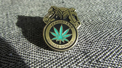 Spilla bavero cannabis workers - spilla,