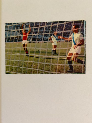 Figurina fotocalcio sagittario - figurina,