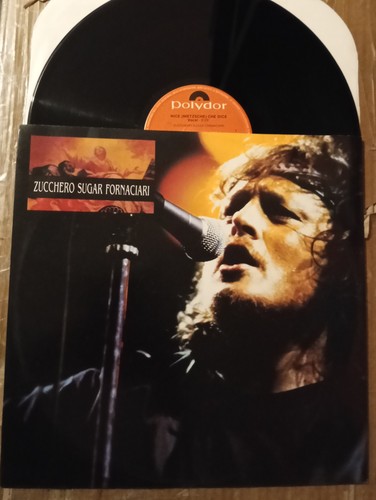 Zucchero sugar fornaciari nice - zucchero,