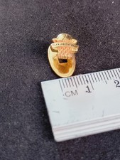 Distintivo Snaidero basket -