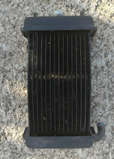 RADIATORE MALAGUTI PASSWORD