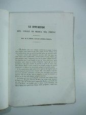 Giulio A. Pirona, Le