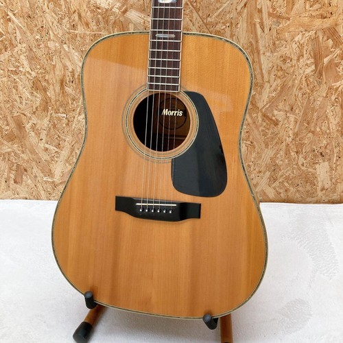 Chitarra acustica morris - chitarra,