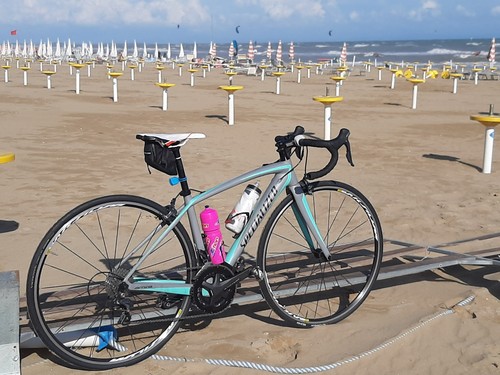 Specialized amira carbonio - specialized, in