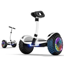Electric 10 Inch Tire