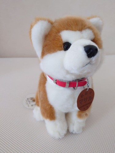 Peluche akita inu masaru alto - peluche,