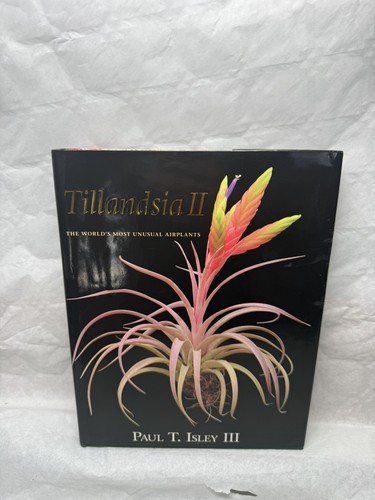 Tillandsia paul isley - ,