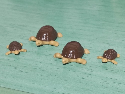 Lotto playmobil tartarughe - lotto,