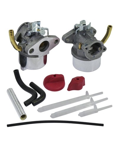 Briggs stratton carburatore - briggs,