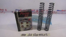 Pistoni forcelle ANDREANI 409/S10 + molle OHLINS 08744-95/L158 Suzuki GSX-R 1000